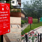 STRAWBERRY FIELD UNVEILS THE GEORGE AND JUDY MARTIN ROSE GARDEN